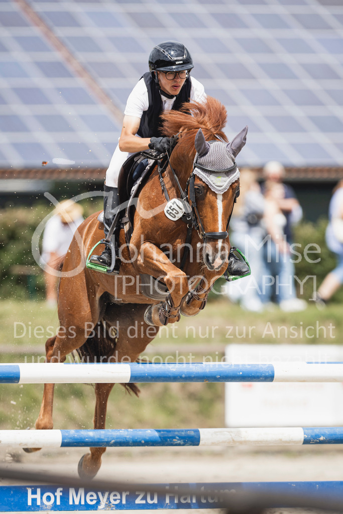 250628_PfSpTa_Youngster-S-426 | Deine schönsten Turniermomente als professionelle Fotos! Entdecke hochwertige Pferdesport-Fotografie im Online-Shop. Jetzt Fotos finden & bestellen!