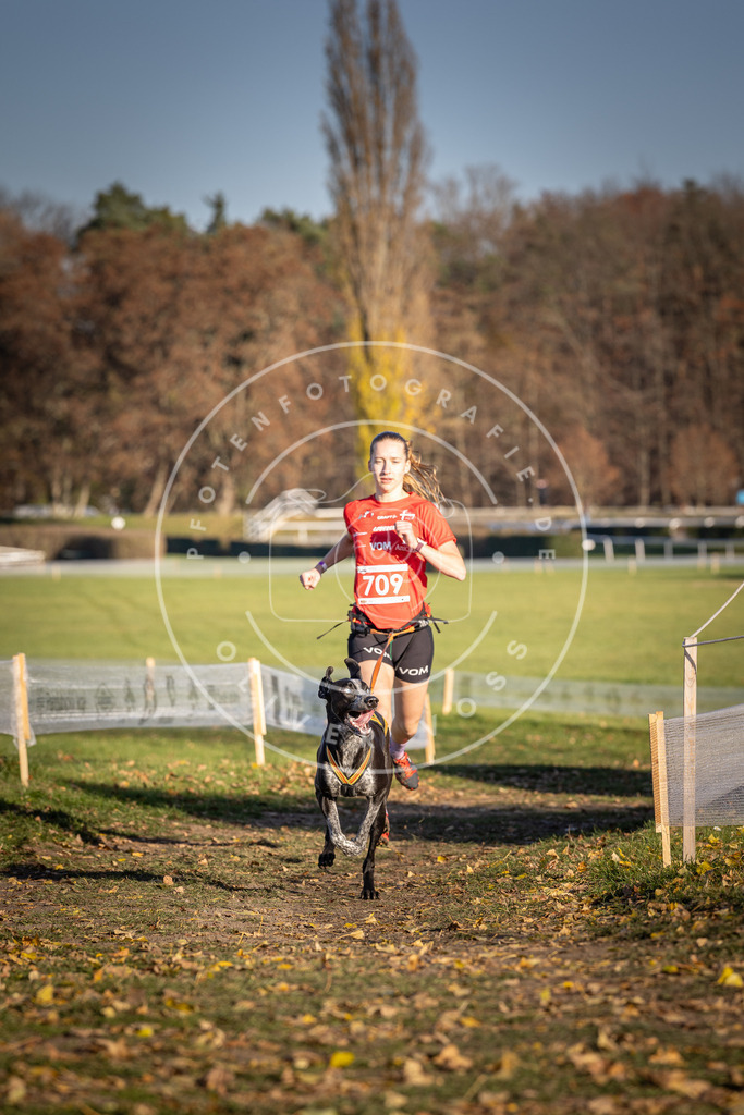 CaniXpix_DV3A1580 | Hundefotografie, Tierfotograf, Pfotenfotografie, Fotoshooting Hund, Hunde Portrait, Hundesport, Hundeportraits, Heideshooting, Hunde, Sportfotograf, Hundefotograf, Turnierhundsport, THS,  - Realisiert mit Pictrs.com