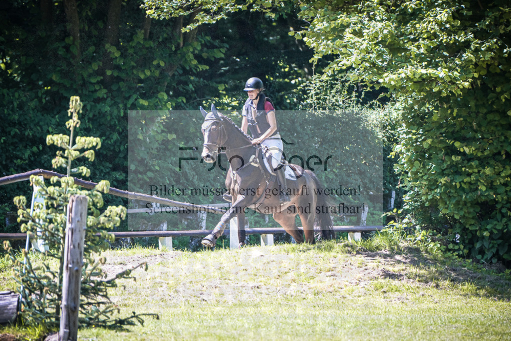 DOS_9866 | Entdecke hochwertige Reitturnierfotos von Foto Oger. Professionell, emotional und authentisch – jetzt Lieblingsmomente im Shop bestellen.Deutschlandweite Turnierfotografie. - Realisiert mit Pictrs.com
