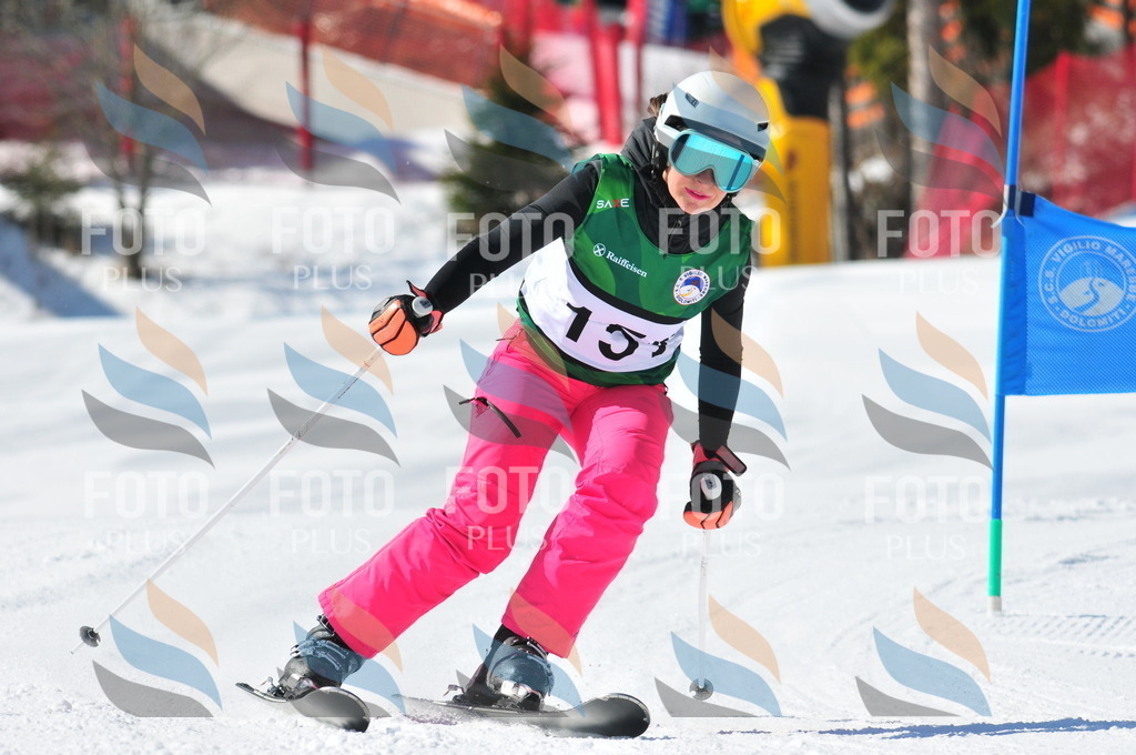 C4063 | holidayphoto