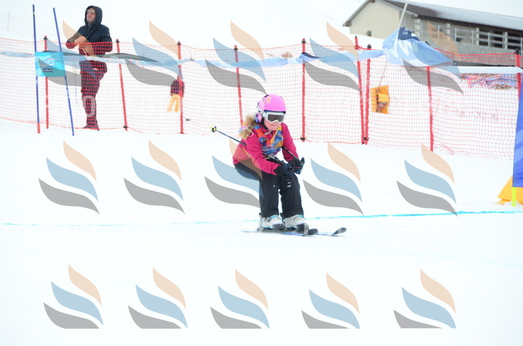 DSC_0990 | holidayphoto