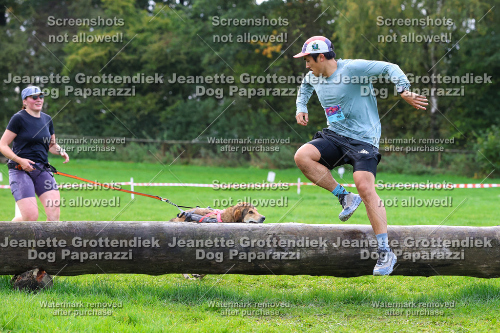 Dog Paparazzi -  SD1026-2248 | Dog Paparazzi Jeanette Grottendiek Fotografie & Videografie - Realisiert mit Pictrs.com