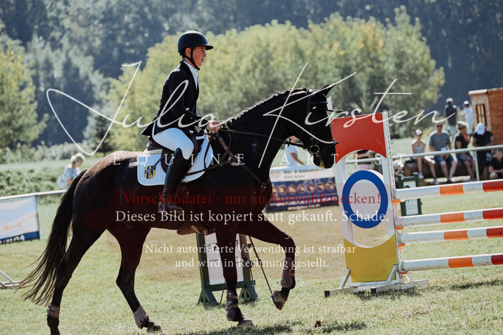 DSC_5723 | Pferde- und Turnierfotografie in Westsachsen. Pferdeportraits, Auftragszeichnungen und intuitive Kunst.