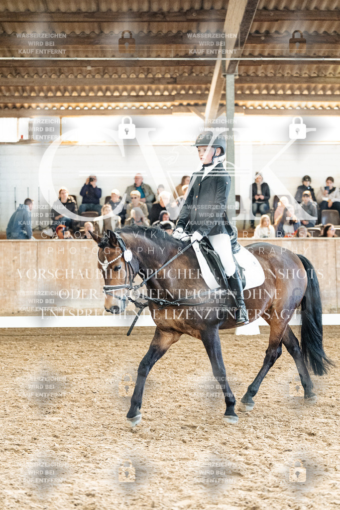 CK909971 | Turnierfotografie Pferdefotografie Trier Rheinland-Pfalz Pferdesport Reitsport Tierfotografie Sportfotografie Pferdevideo Pferdevideografie Equestrianvideography equestrianphotography  - Realisiert mit Pictrs.com