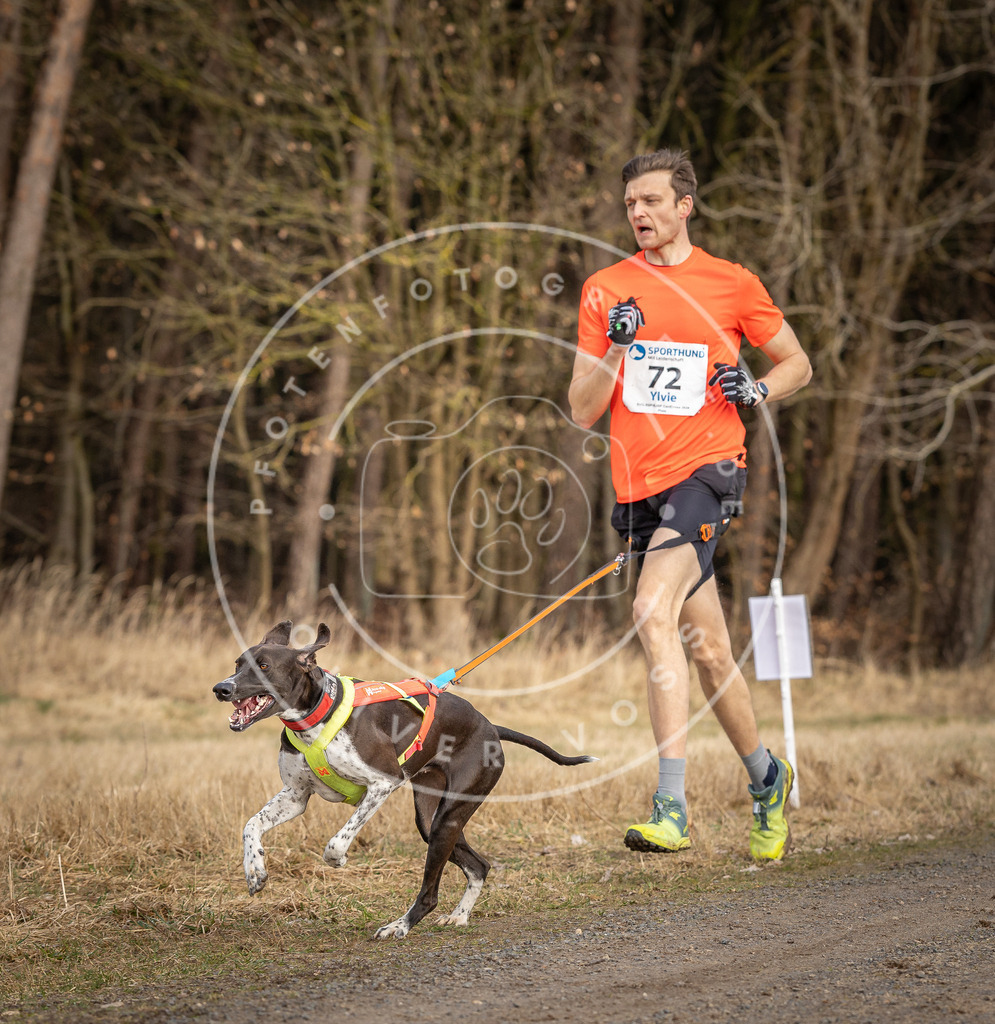 DV3A3655 | Hundefotografie, Tierfotograf, Pfotenfotografie, Fotoshooting Hund, Hunde Portrait, Hundesport, Hundeportraits, Heideshooting, Hunde, Sportfotograf, Hundefotograf, Turnierhundsport, THS,  - Realisiert mit Pictrs.com