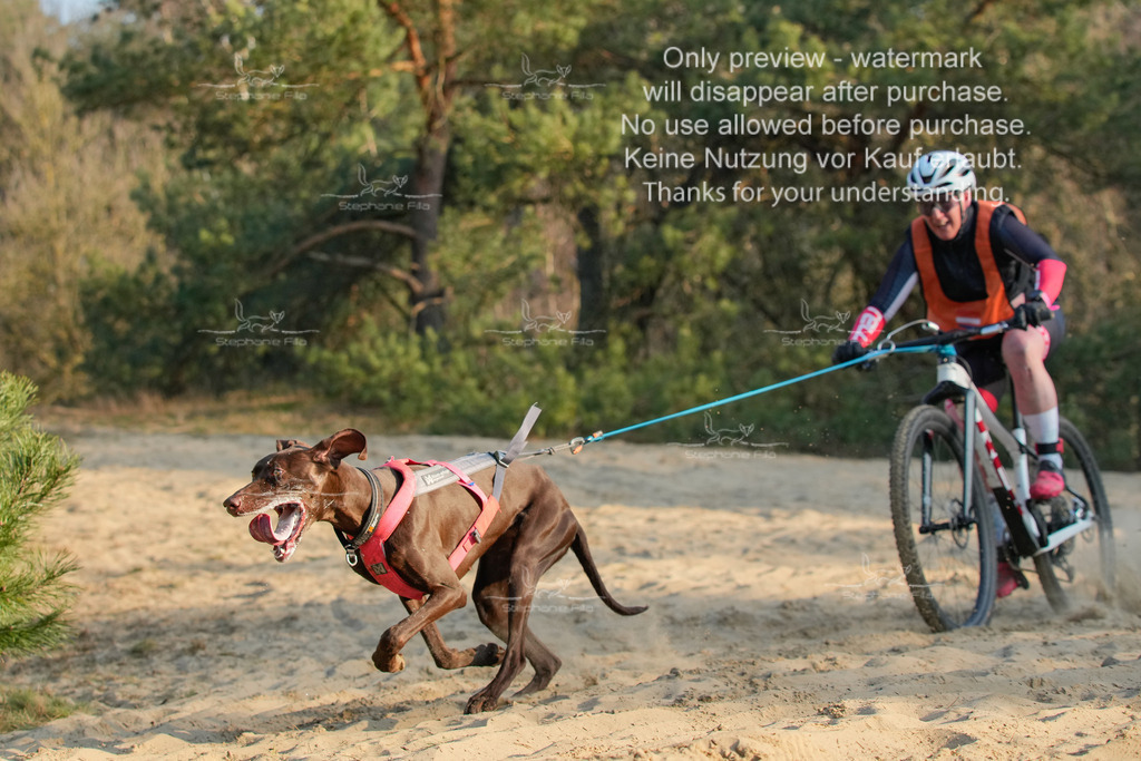 So_2_Bike-29 | stephaniefillaphotographie - Realisiert mit Pictrs.com