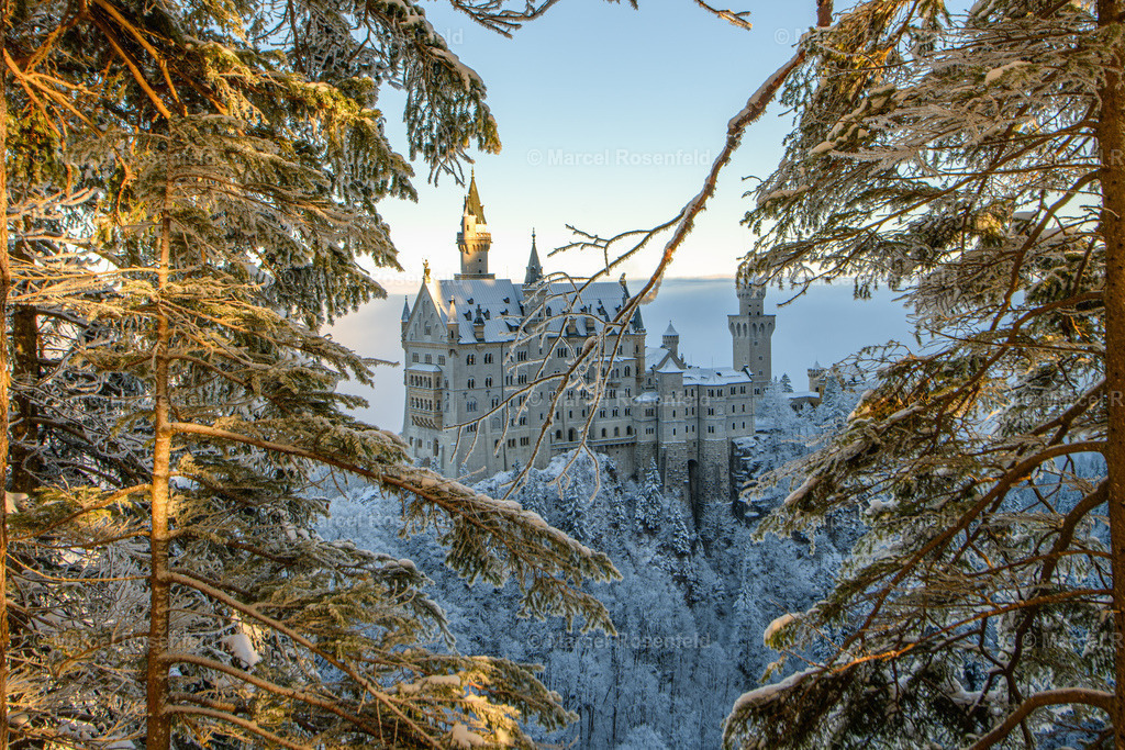 _DSC4545 (1) | foto-rosenfeld