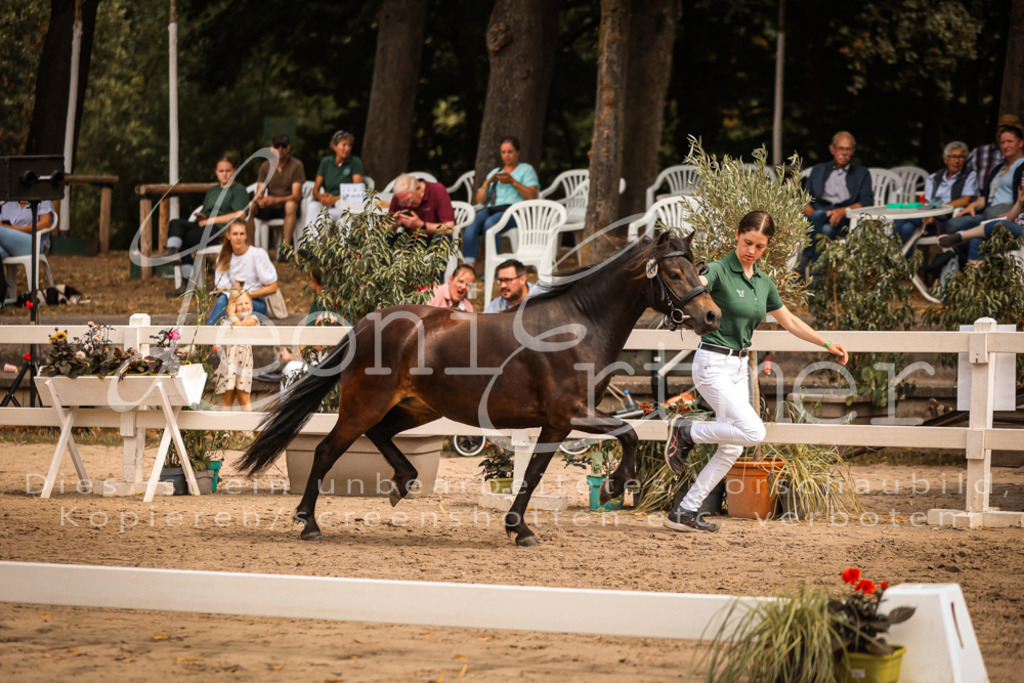 03.So00107 | Leoni Ertmer Photography - Realisiert mit Pictrs.com