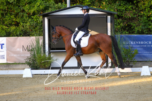 DKP41185 | Turniersportfotografie; Pferdefotografie; Dressurfotografie