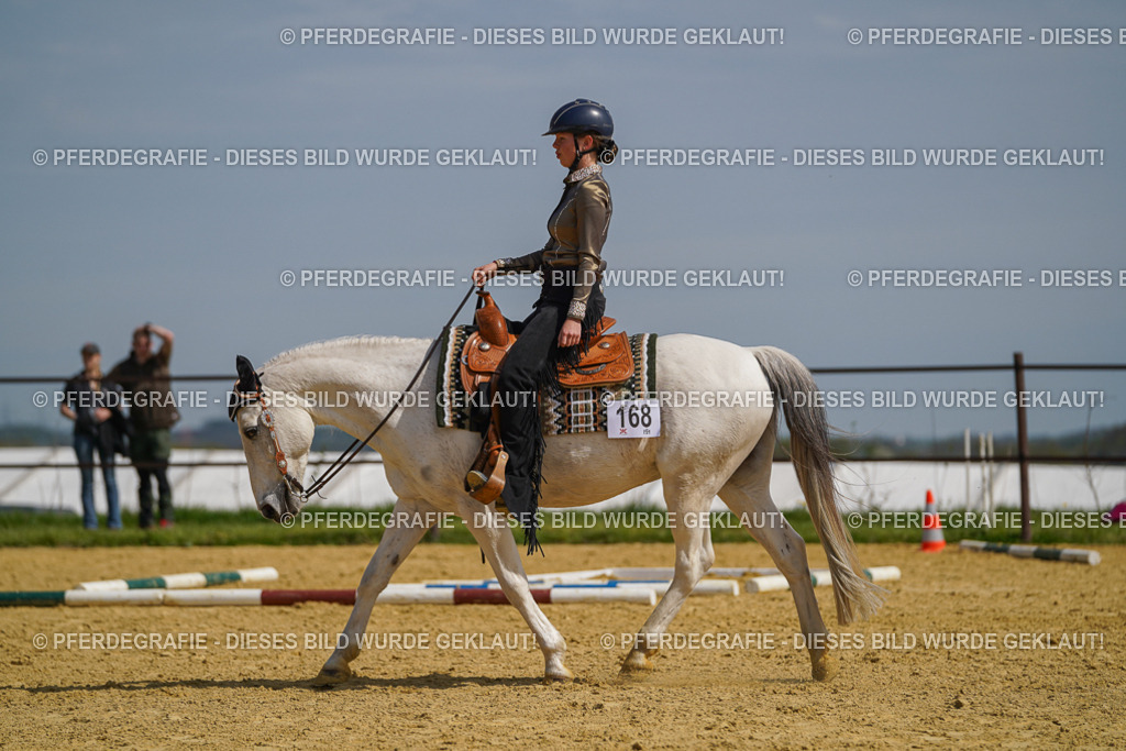 DSC04762 | Pferdegrafie