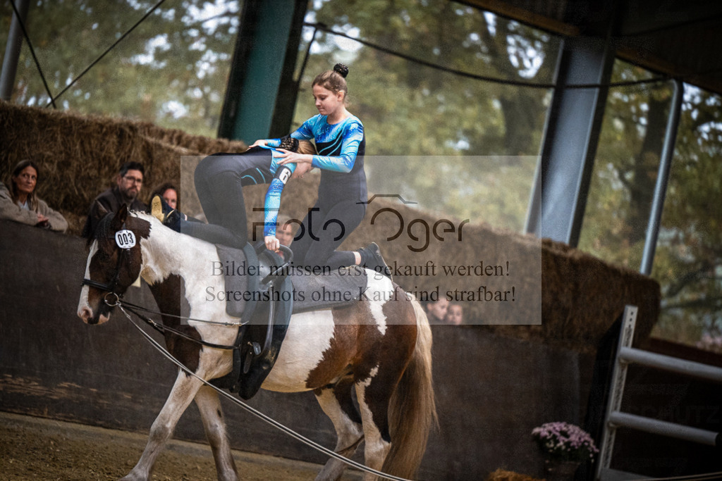 DOS_0208 | Entdecke hochwertige Reitturnierfotos von Foto Oger. Professionell, emotional und authentisch – jetzt Lieblingsmomente im Shop bestellen.Deutschlandweite Turnierfotografie. - Realisiert mit Pictrs.com