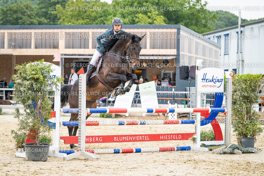 DSC00259 | Pferdegrafie