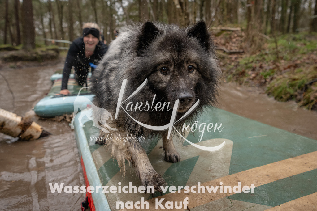 1152_ZZ90045 | kk-dogfotos