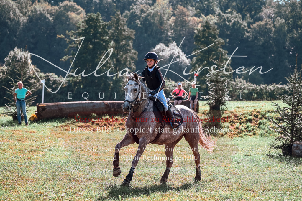 DSC_1146 | Pferde- und Turnierfotografie in Westsachsen. Pferdeportraits, Auftragszeichnungen und intuitive Kunst.