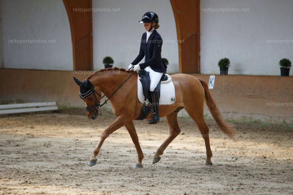 JHE_1824 | JoYa Fotografie - Realisiert mit Pictrs.com