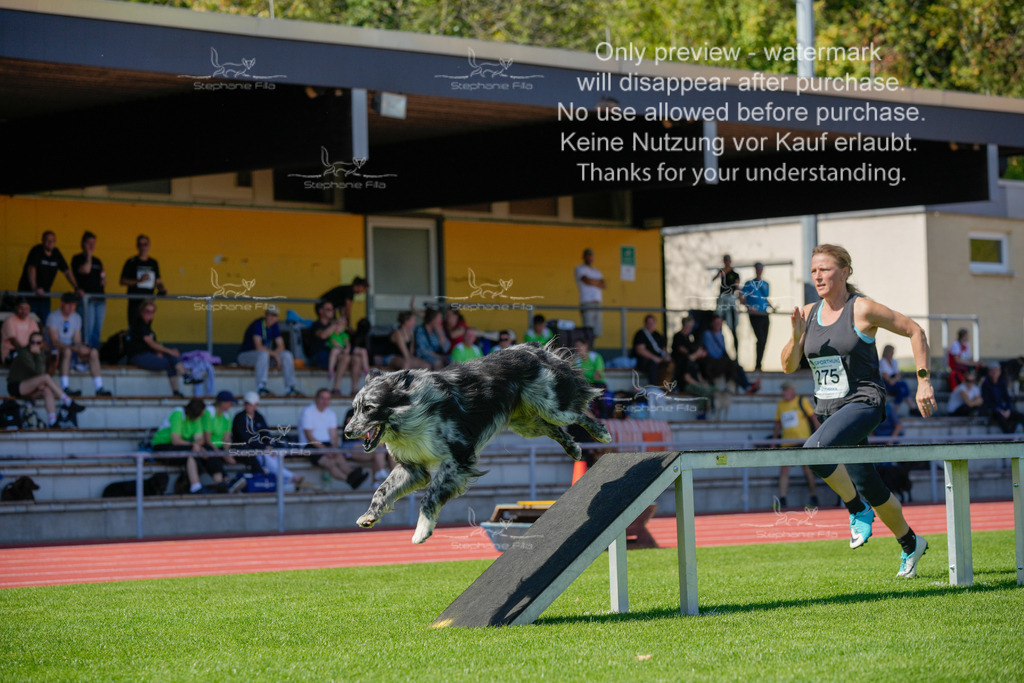 Sonntag_VK Hindernis (513 von 671) | stephaniefillaphotographie - Realisiert mit Pictrs.com