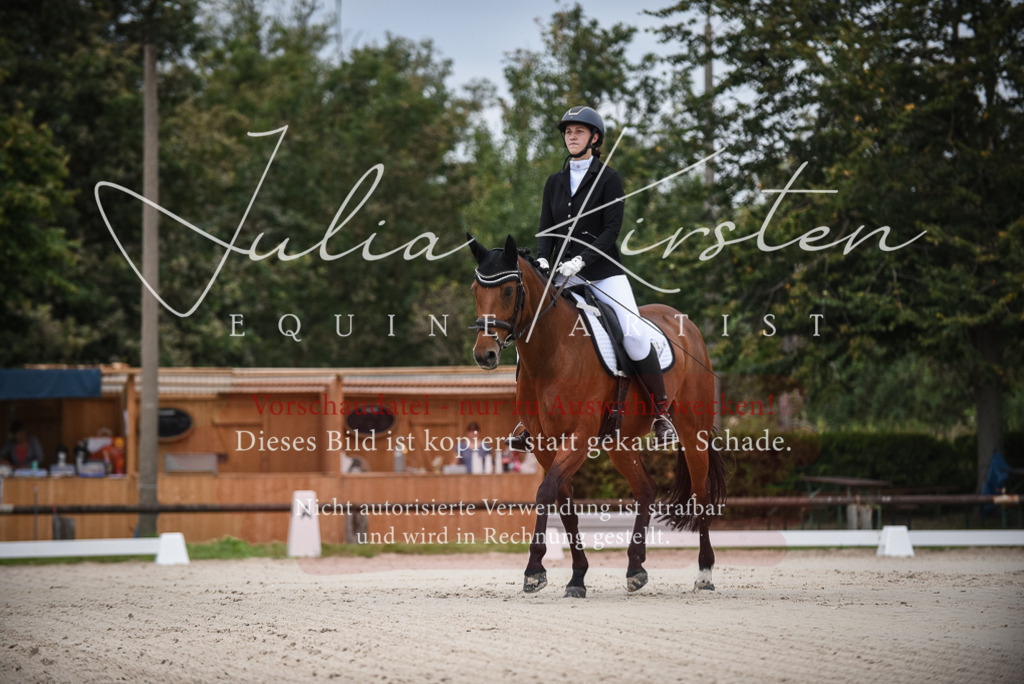DSC_7954 | Pferde- und Turnierfotografie in Westsachsen. Pferdeportraits, Auftragszeichnungen und intuitive Kunst.