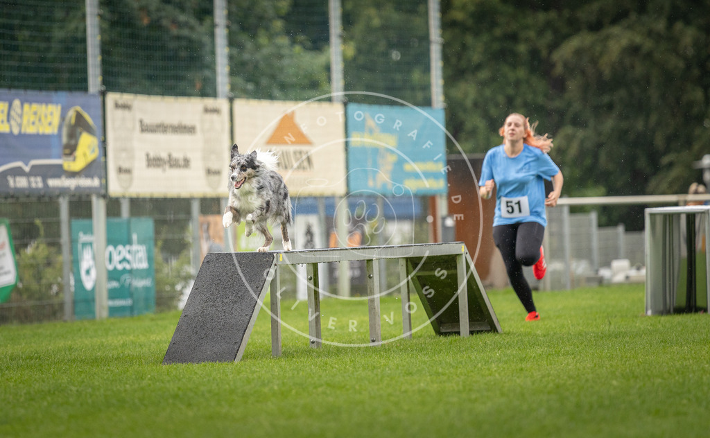 Pfotenfotografie_DV3A5000 | Hundefotografie, Tierfotograf, Pfotenfotografie, Fotoshooting Hund, Hunde Portrait, Hundesport, Hundeportraits, Heideshooting, Hunde, Sportfotograf, Hundefotograf, Turnierhundsport, THS,  - Realisiert mit Pictrs.com