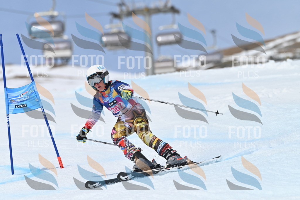 BGV_3983 | holidayphoto