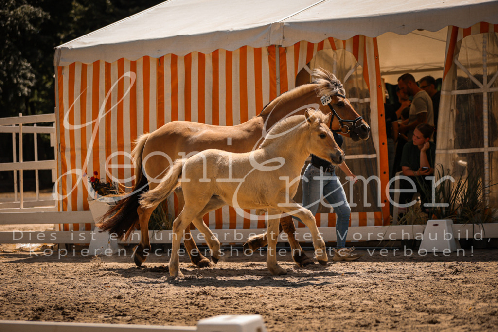 05.DoF00026 | Leoni Ertmer Photography - Realisiert mit Pictrs.com