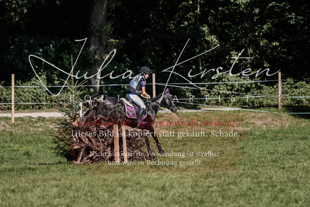 DSC_1947 | Pferde- und Turnierfotografie in Westsachsen. Pferdeportraits, Auftragszeichnungen und intuitive Kunst.