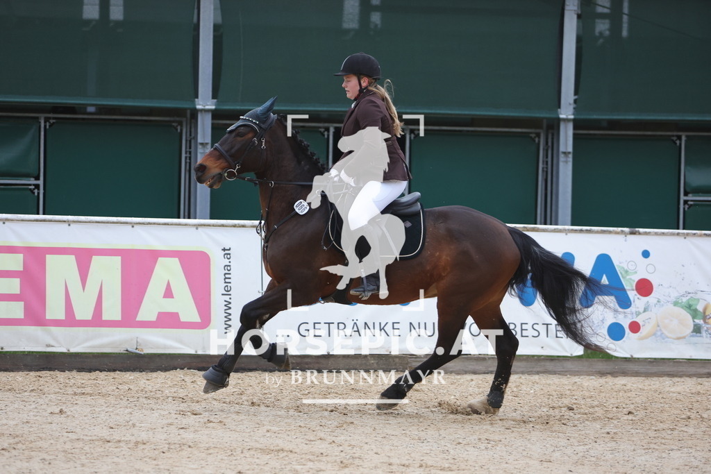 0P6A3796 | Willkommen bei Brunnmayr - Design & Fotografie – Ihrem Spezialisten für Reitturniere und Pferdeveranstaltungen in Oberösterreich, Salzburg und Bayern! Seit über 17 Jahren sind wir leidenschaftlich dabei.