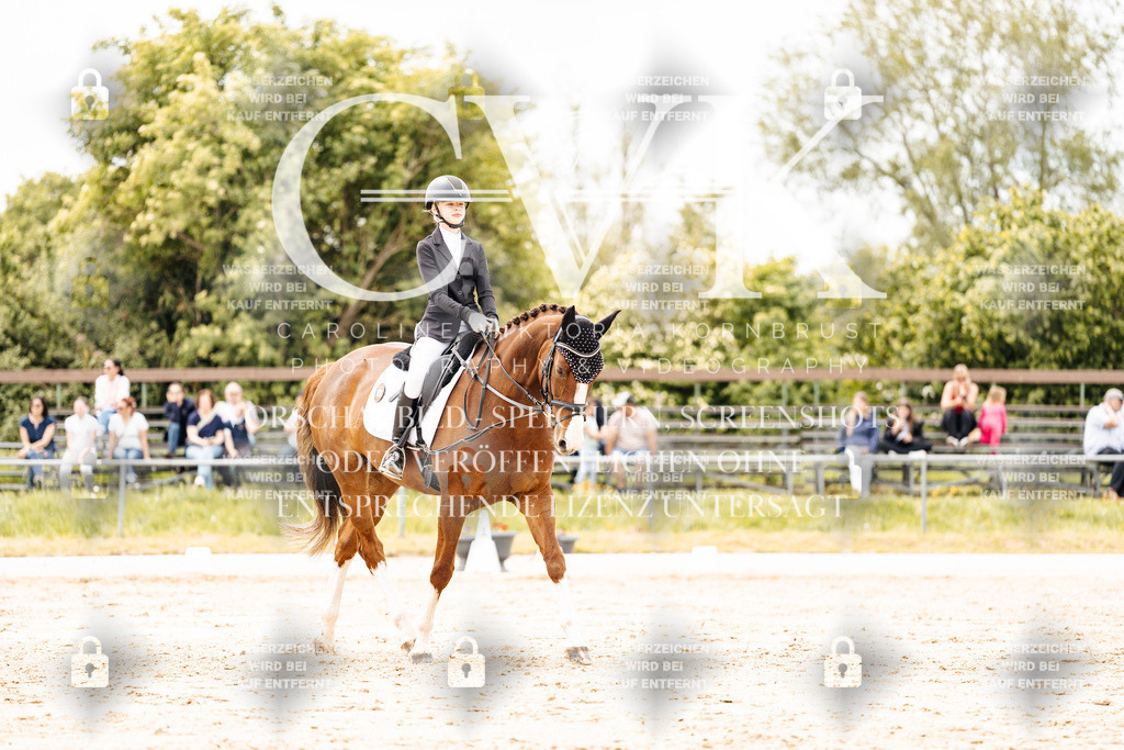 CK902907 | Turnierfotografie Pferdefotografie Trier Rheinland-Pfalz Pferdesport Reitsport Tierfotografie Sportfotografie Pferdevideo Pferdevideografie Equestrianvideography equestrianphotography  - Realisiert mit Pictrs.com