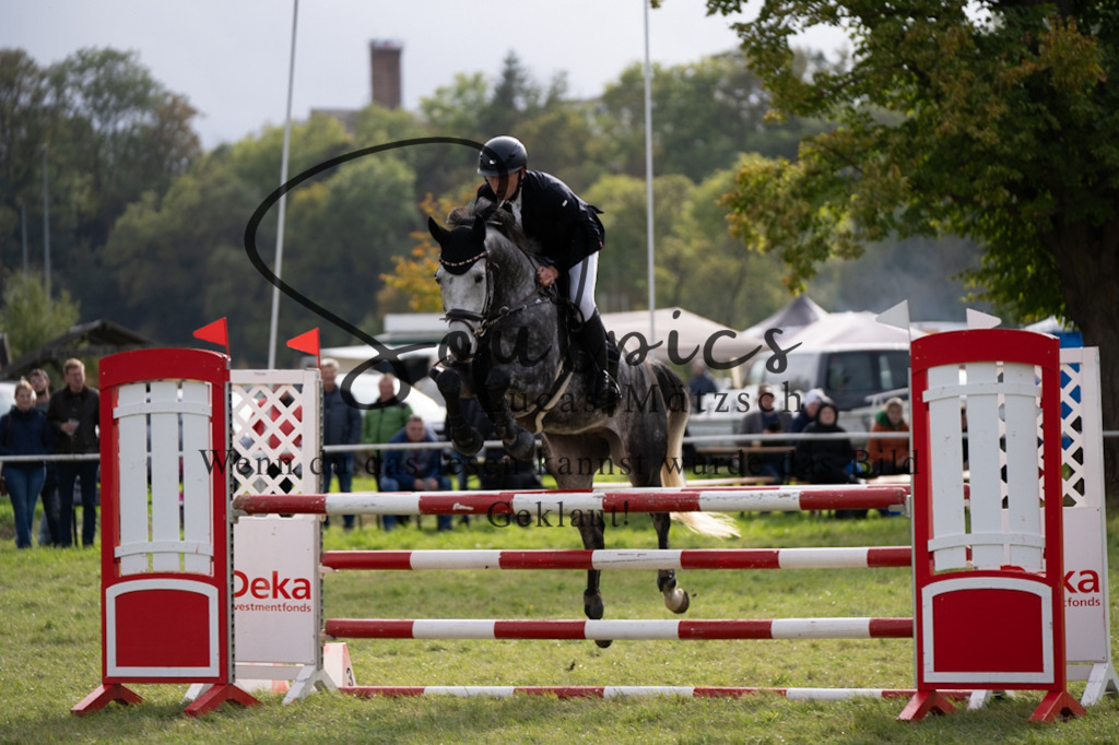 A7V07373 | Pferdefotograf