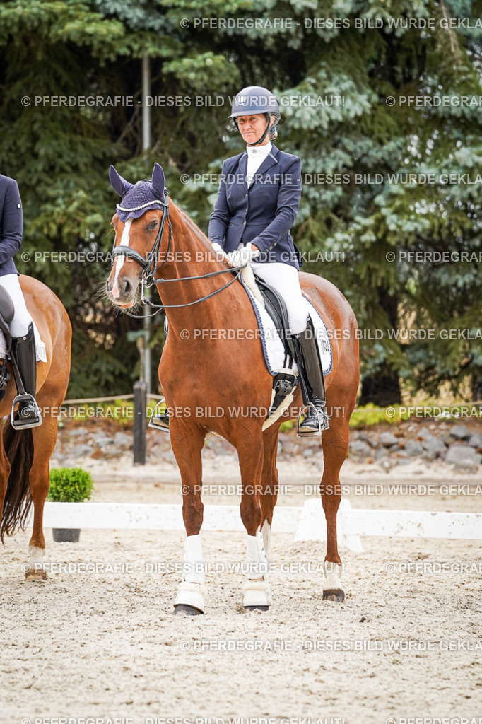 DSC08044 | Pferdegrafie