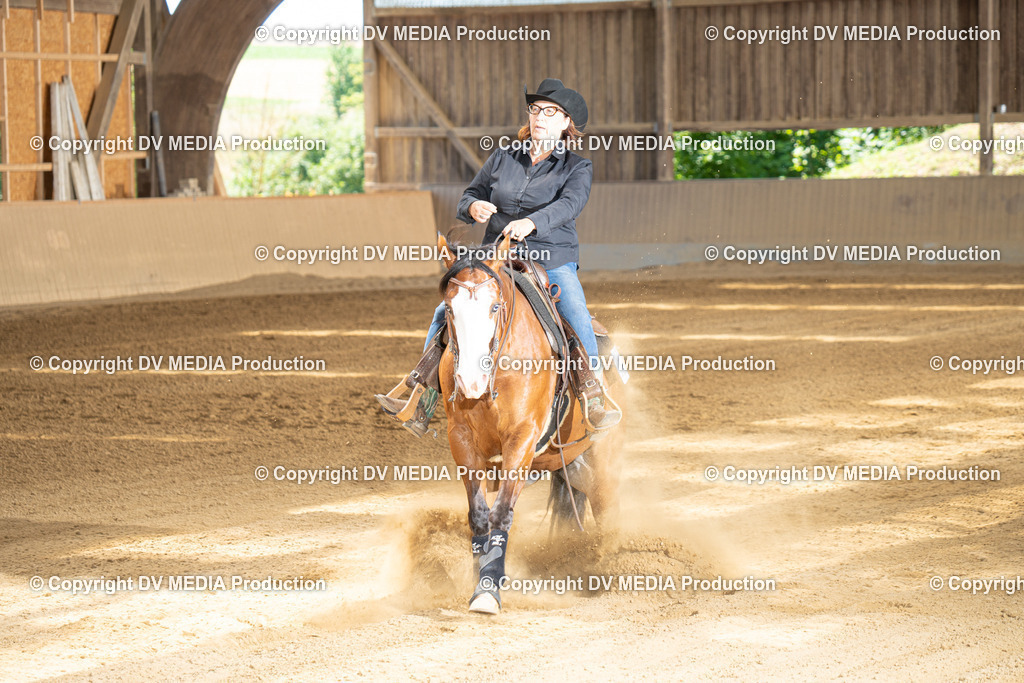 DSC00010 | dv-media-shop - Realisiert mit Pictrs.com