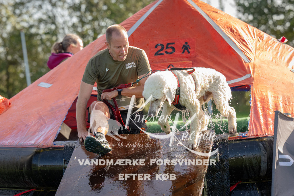 1116-91967 | kk-dogfotos