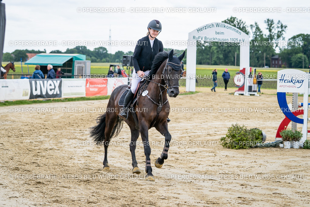 DSC04671 | Pferdegrafie