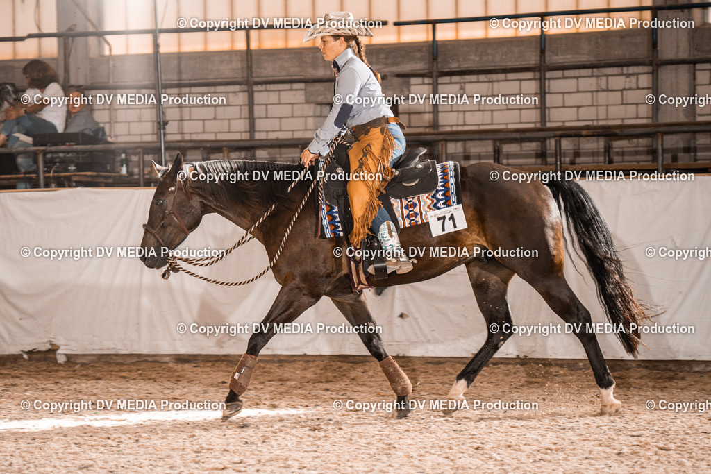 ZH100559 | dv-media-shop - Realisiert mit Pictrs.com