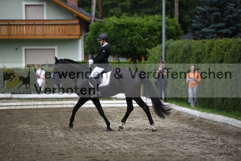 DSC_4308 | equestrian-live-com