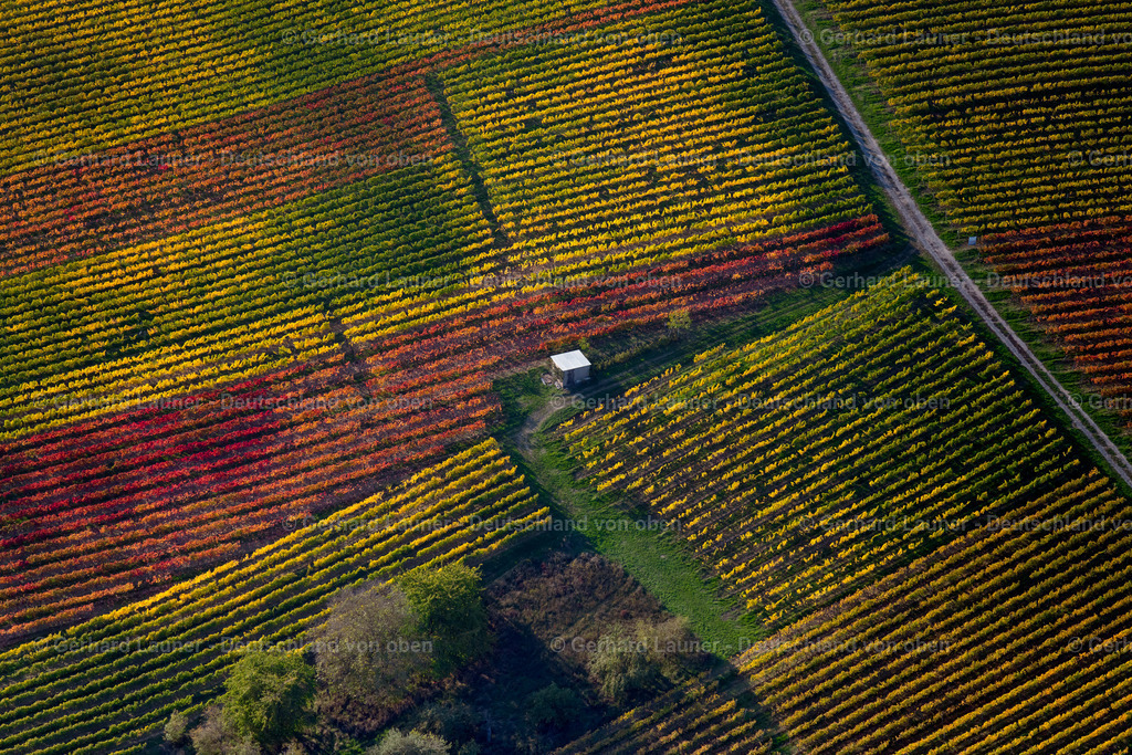 3905288 | Weinberge am Busigberg Großheubach