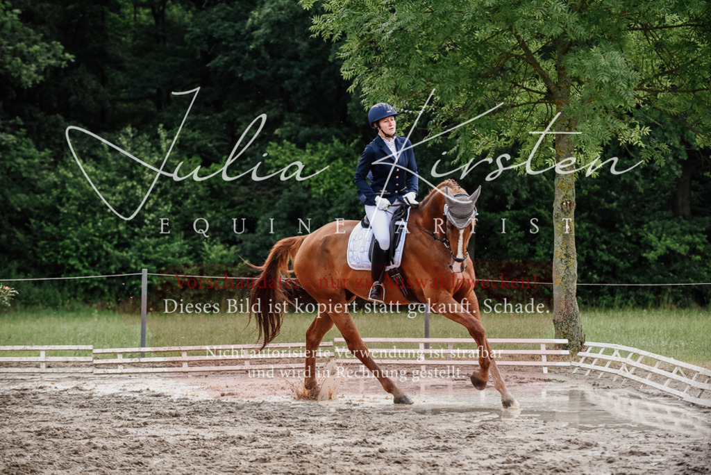 DSC_9947 | Pferde- und Turnierfotografie in Westsachsen. Pferdeportraits, Auftragszeichnungen und intuitive Kunst.