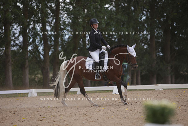 1J2A0973Charlotte Fehr_ Ikon 16_ Kn061_ Wöpkendorf_ Annalena Beier_ Quinn M_ Kn095 | Foto- und Videografie für alles rund ums Pferd. Hochwertige Bilder und Videos vom Spring- und Dressurreiten, Voltigieren & mehr. Jetzt aktuelle Veranstaltungen und Preise im Shop ansehen. - Realisiert mit Pictrs.com