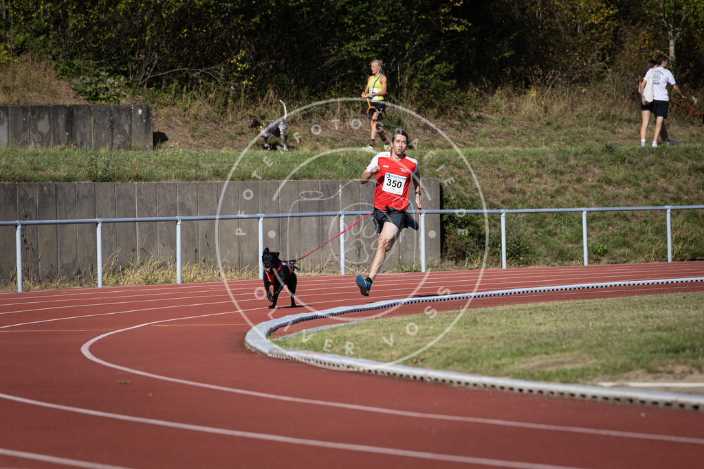 Pfotenfotografie_DV3A9193 | Hundefotografie, Tierfotograf, Pfotenfotografie, Fotoshooting Hund, Hunde Portrait, Hundesport, Hundeportraits, Heideshooting, Hunde, Sportfotograf, Hundefotograf, Turnierhundsport, THS,  - Realisiert mit Pictrs.com