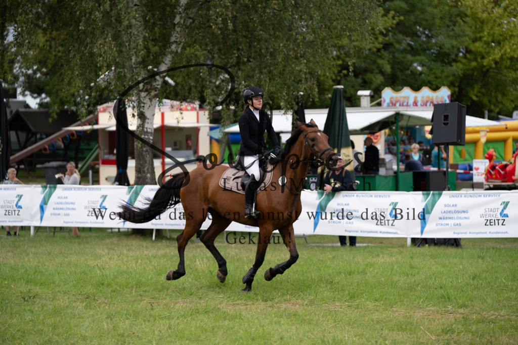 A7V03963 | Pferdefotograf