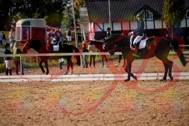 2026_10_03_Siefer-Hof_133441_Z63_93133537 | Professionelle Reitsport-, Turnier- und Eventfotografie von Robert Broda. Galerien mit ausgewählten und bearbeiteten Bildern direkt online ansehen und bestellen.
