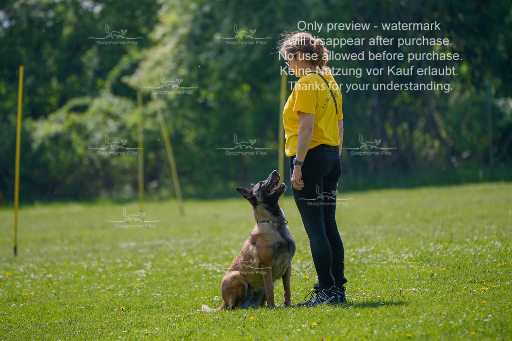 Sa_Gehorsam_02-21 | stephaniefillaphotographie - Realisiert mit Pictrs.com