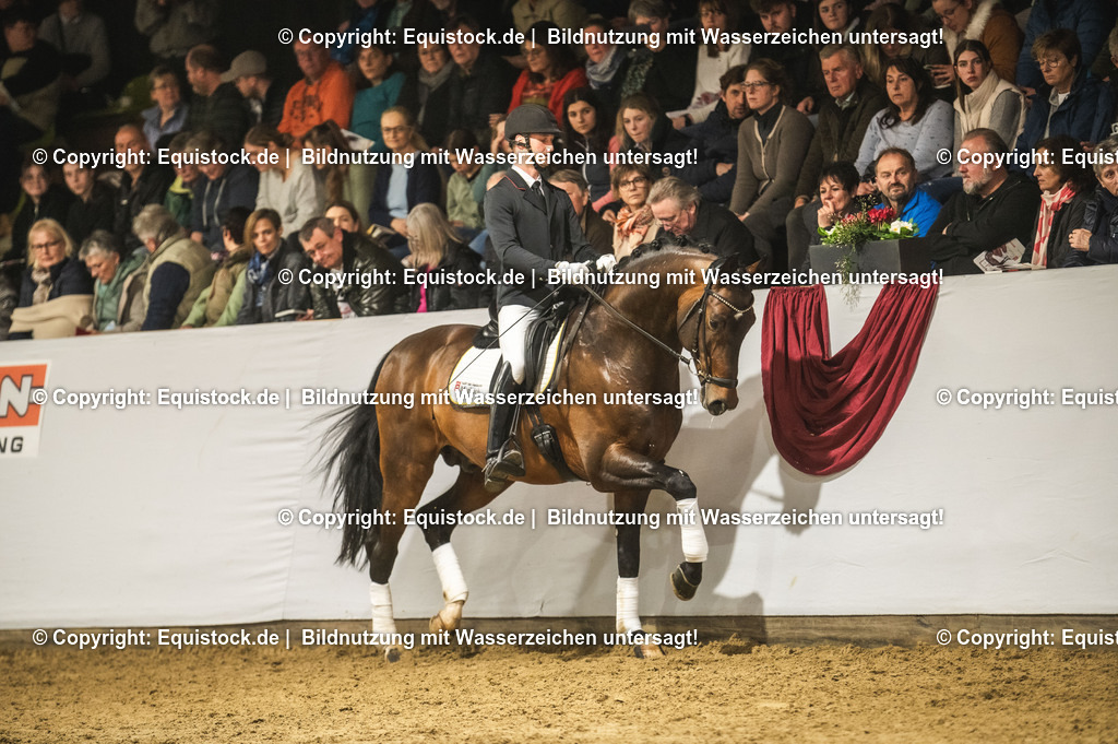 20240302_Hengstvorstellung_Marbach_TOMsPiC_1238 | equistock