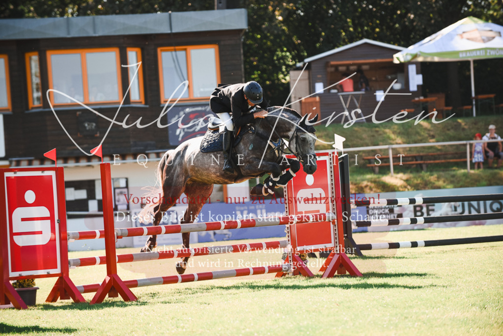 DSC_2358 | Pferde- und Turnierfotografie in Westsachsen. Pferdeportraits, Auftragszeichnungen und intuitive Kunst.