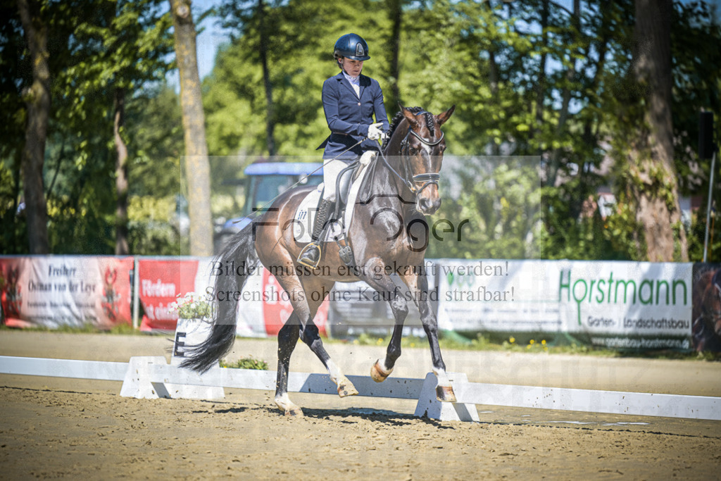 DOS_5817 | Entdecke hochwertige Reitturnierfotos von Foto Oger. Professionell, emotional und authentisch – jetzt Lieblingsmomente im Shop bestellen.Deutschlandweite Turnierfotografie. - Realisiert mit Pictrs.com