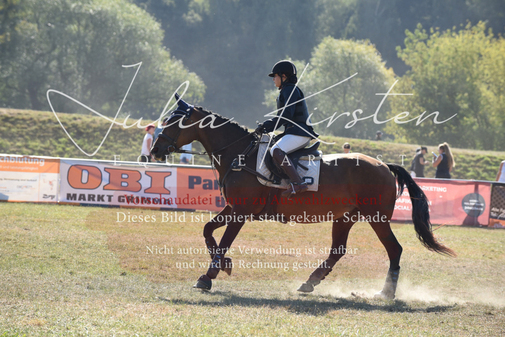 DSC_5974 | Pferde- und Turnierfotografie in Westsachsen. Pferdeportraits, Auftragszeichnungen und intuitive Kunst.