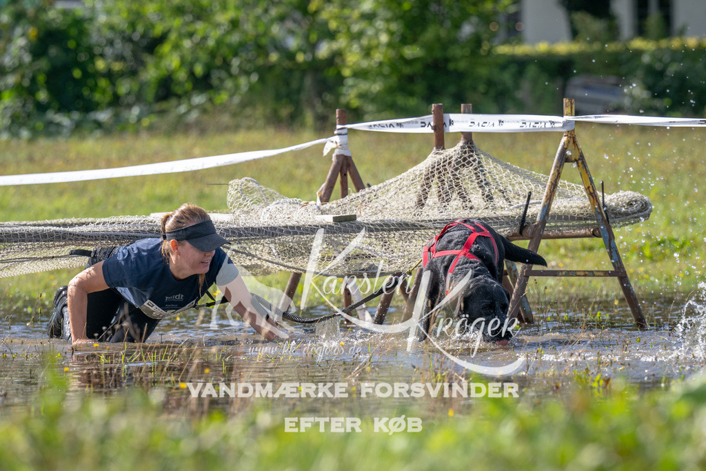 1133_ZZ90089 | kk-dogfotos