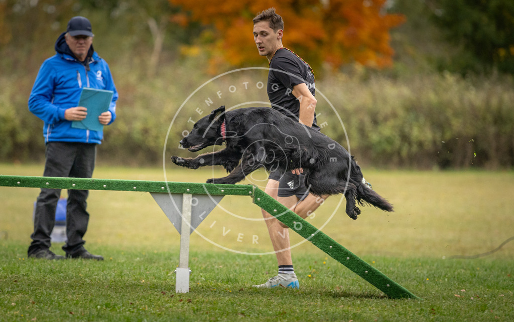 Pfotenfotografie_DV3A0051 | Hundefotografie, Tierfotograf, Pfotenfotografie, Fotoshooting Hund, Hunde Portrait, Hundesport, Hundeportraits, Heideshooting, Hunde, Sportfotograf, Hundefotograf, Turnierhundsport, THS,  - Realisiert mit Pictrs.com