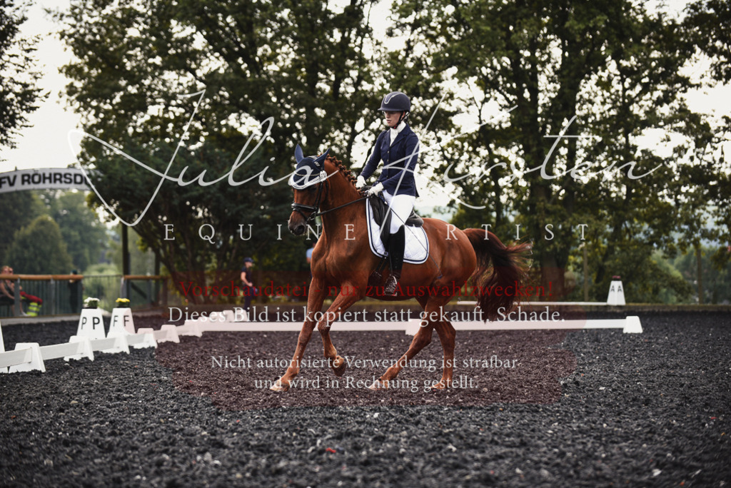 DSC_3804 | Pferde- und Turnierfotografie in Westsachsen. Pferdeportraits, Auftragszeichnungen und intuitive Kunst.