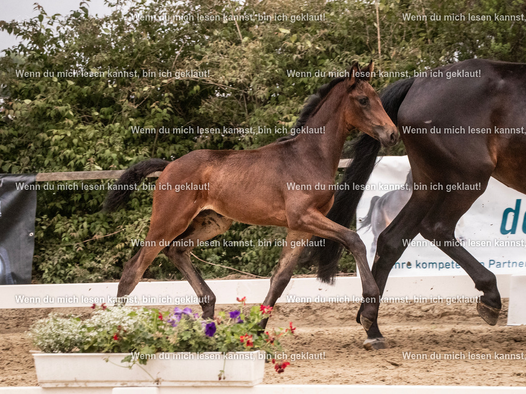 A10I5902 | photographylinaismer - Realisiert mit Pictrs.com