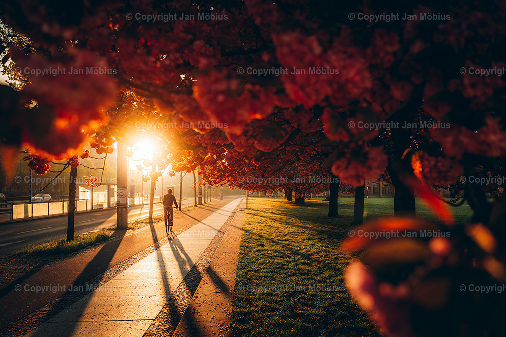 _DSC1727-3 | Leipzig Wandbilder Drucke Prints Leinwand Stadtmotive Leipzig Fotosdruck Kunstdrucke Bilder Leipzig Stadtansichten Acrylglasbilder Leipzig Wanddeko Fine Art Prints Wandbilder Büro Leipzig Bilder Praxis Zuhause Bilderdruck Poster Posterlounge Kunstdrucke - Realisiert mit Pictrs.com